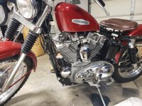sportster.jpg