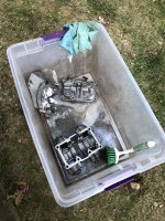 IMG_6432.jpeg IMG_6432.jpeg