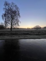 Afbeelding van WhatsApp op 2025-11-21 om 21.23.54_9f05828f (Klein).jpg