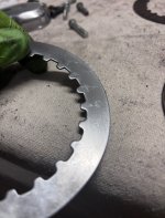 IMG_2061.jpeg IMG_2061.jpeg