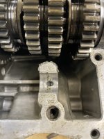 IMG_6272.jpeg