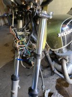 IMG_5791.jpeg