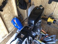 IMG_8877.jpeg IMG_8877.jpeg