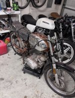 IMG_2354.jpeg IMG_2354.jpeg