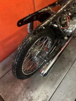 IMG_2466.jpeg