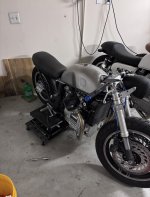 IMG_2447.jpeg