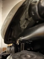 IMG_2440.jpeg