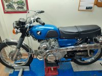 1968 Honda CL175.jpg