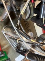IMG_6461.jpeg
