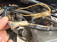 IMG_6100.jpeg