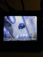 IMG_4906.jpeg IMG_4906.jpeg