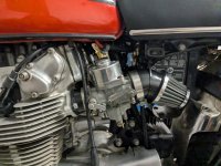 CArb2.jpg