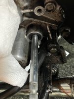 IMG_4371.jpeg