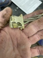 IMG_6457.jpeg IMG_6457.jpeg