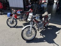IMG_9189.jpeg