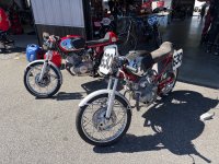 IMG_9277.jpeg