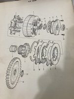 IMG_2029.jpeg