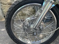 IMG_7363.jpeg