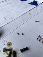 IMG_4790.jpeg