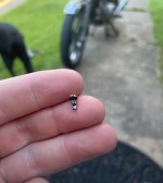 IMG_5599.jpeg