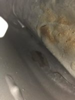 IMG_4367.jpeg IMG_4367.jpeg