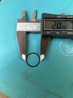 IMG_3594.jpeg