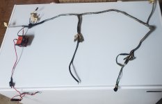 Harness For Posting.jpg Harness For Posting.jpg
