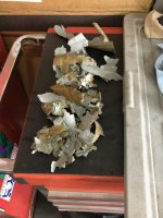 IMG_5623.jpeg IMG_5623.jpeg