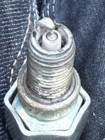 IMG_1253 normaal.jpeg