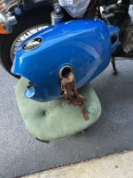 IMG_6363.jpeg IMG_6363.jpeg