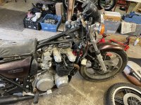 IMG_3887.jpeg IMG_3887.jpeg