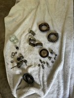 IMG_6368.jpeg