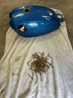 IMG_6369.jpeg