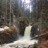 Hbarlaug