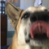 The Alt